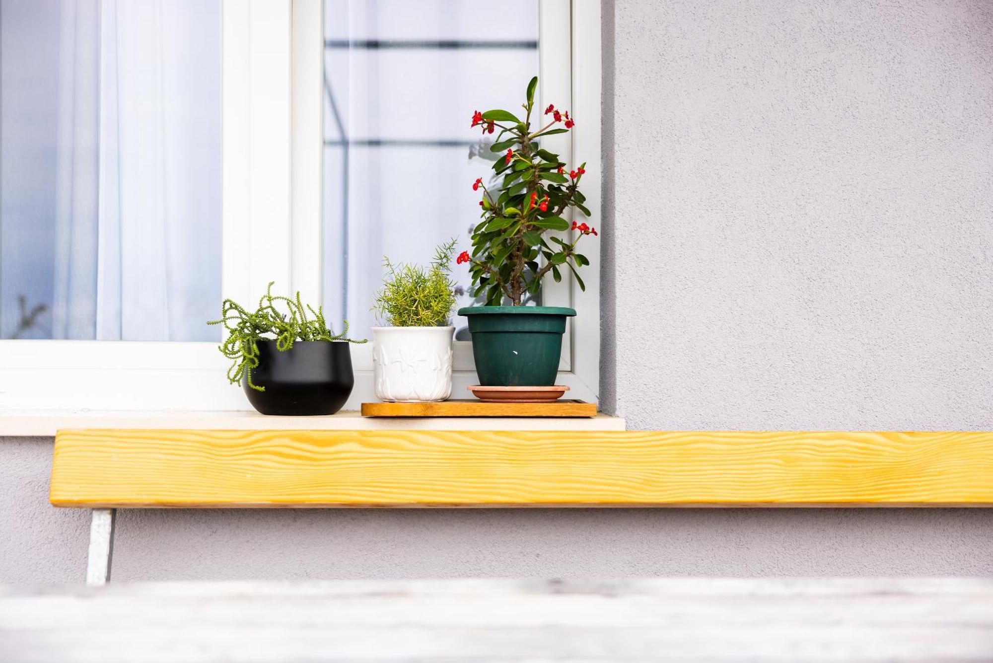 Apartman Nora Omiš Dış mekan fotoğraf